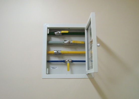 WhatsApp Image 2025-10-11 at 10.21.17